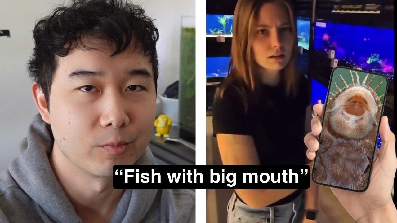 trolling PetSmart employees GONE WRONG | Fish Tank Review 359