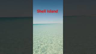 Shell Island snorkeling tours with Flippin Awesome Adventures.