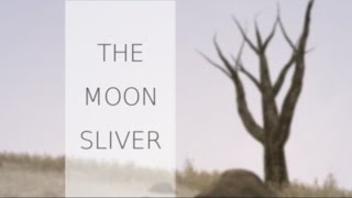 Moon Sliver - Gameplay Trailer
http://www.desura.com/games/the-moon-sliver
The Moon Sliver is an exploration/horror game with an emphasis on atmosphere and story. Moon Sliver - Gameplay Trailer