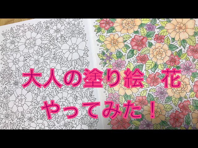 어른들의 색칠하기 책NEW!