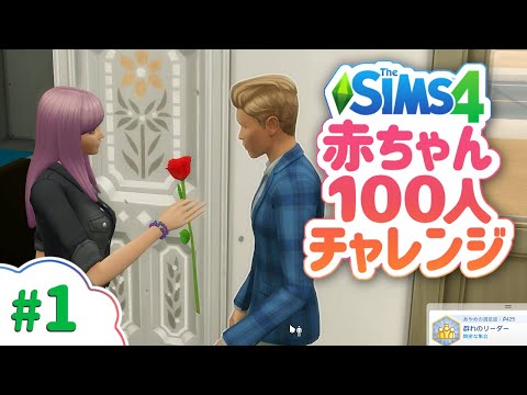 シムズ4攻略を目指す！赤ちゃん100人チャレンジ【The Sims 4 字幕プレイ】#1