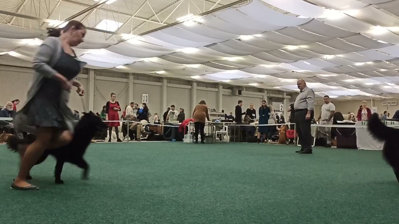 Bratislava cacib day 3