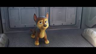 Patrulha Canina - O Filme Clipe Meu Chapéu Paramount Pictures Brasil