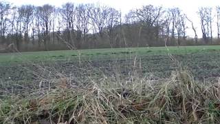 Het Springendal