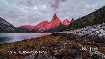 ﴿وإذا وقع القول عليهم أخرجنا لهم دابة من الأرض تكلمهم﴾[النمل: ٨٢]-#القارئ : #الشيخ #ياسر_الدوسري