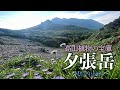 北海道の高山植物、ほぼ全てが見られる【夕張岳】7月上旬