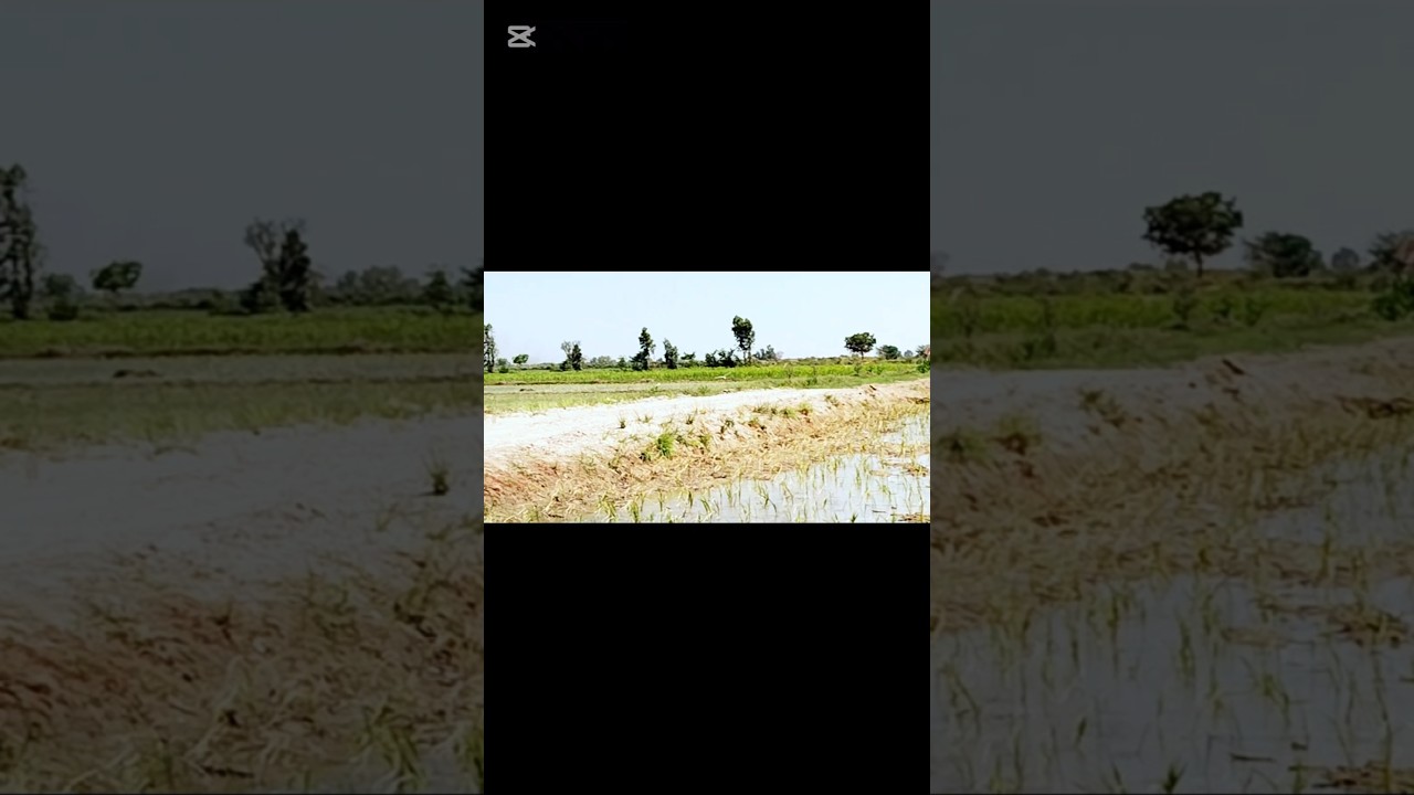 desert best vlog with friends 