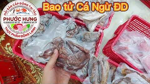 Bao tử cá ngừ giá bao nhiêu năm 2024