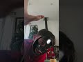 POV Being an ant￼