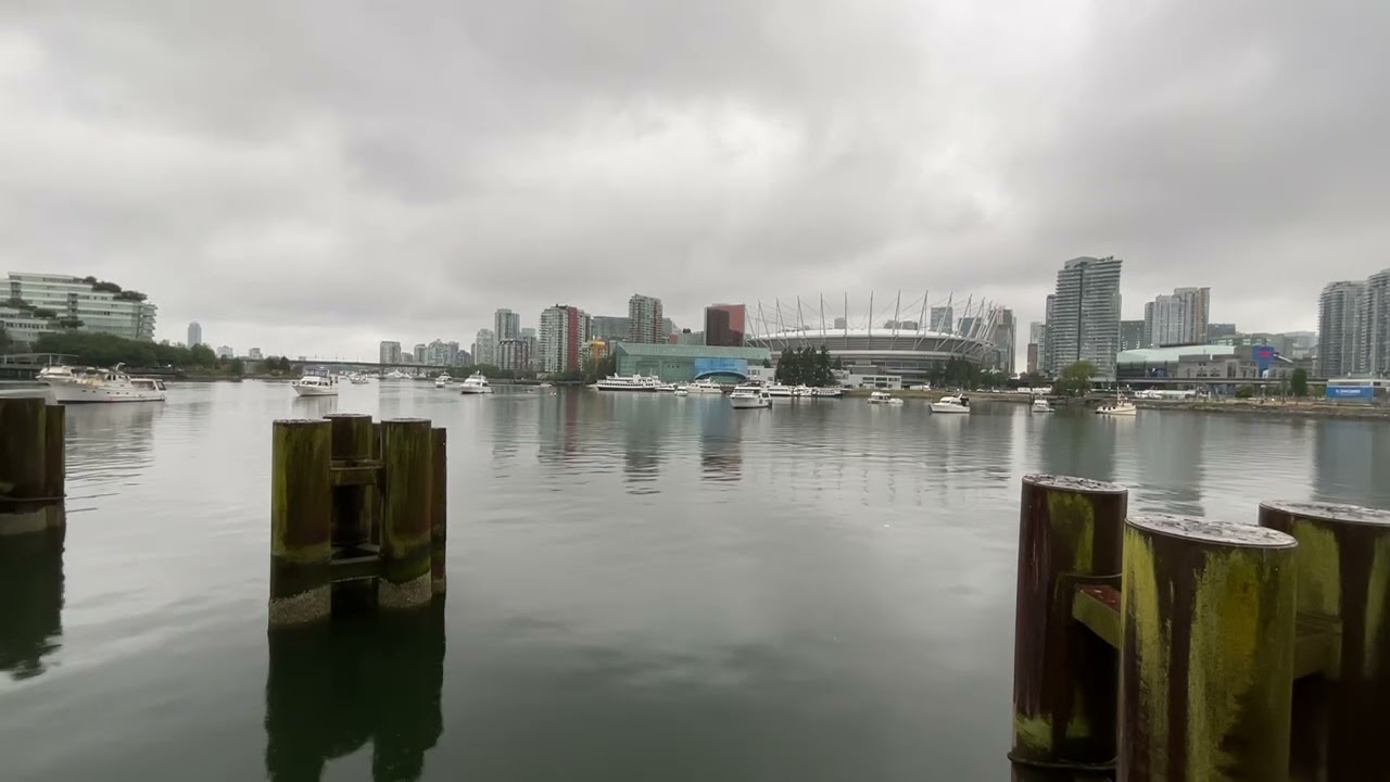 Rainy False Creek from Science World | Autumn is here 🍂