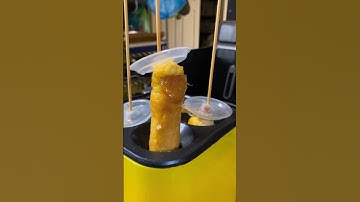 cool 4 vertical egg roll maker kitchen tool 😋 #shorts