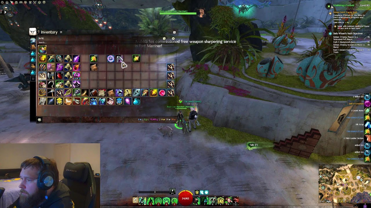 Guild Wars 2. LVL 80. What now?