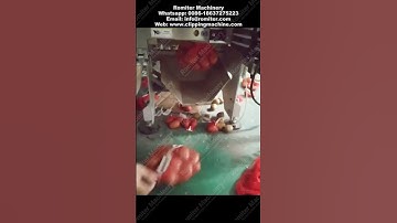 Automatic Fruit Net Bag Clipping Packing Machine