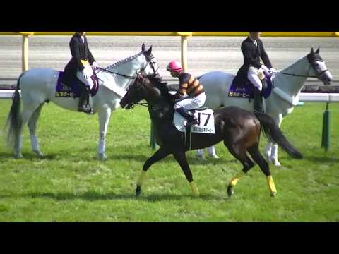 2015 5/31 第82回 東京優駿 日本ダービー(ＧＩ) 本馬場入場 現地映像 ドゥラメンテ