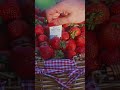FullWell's NEW Strawberry Prenatal Stick Pack 🤩🍓