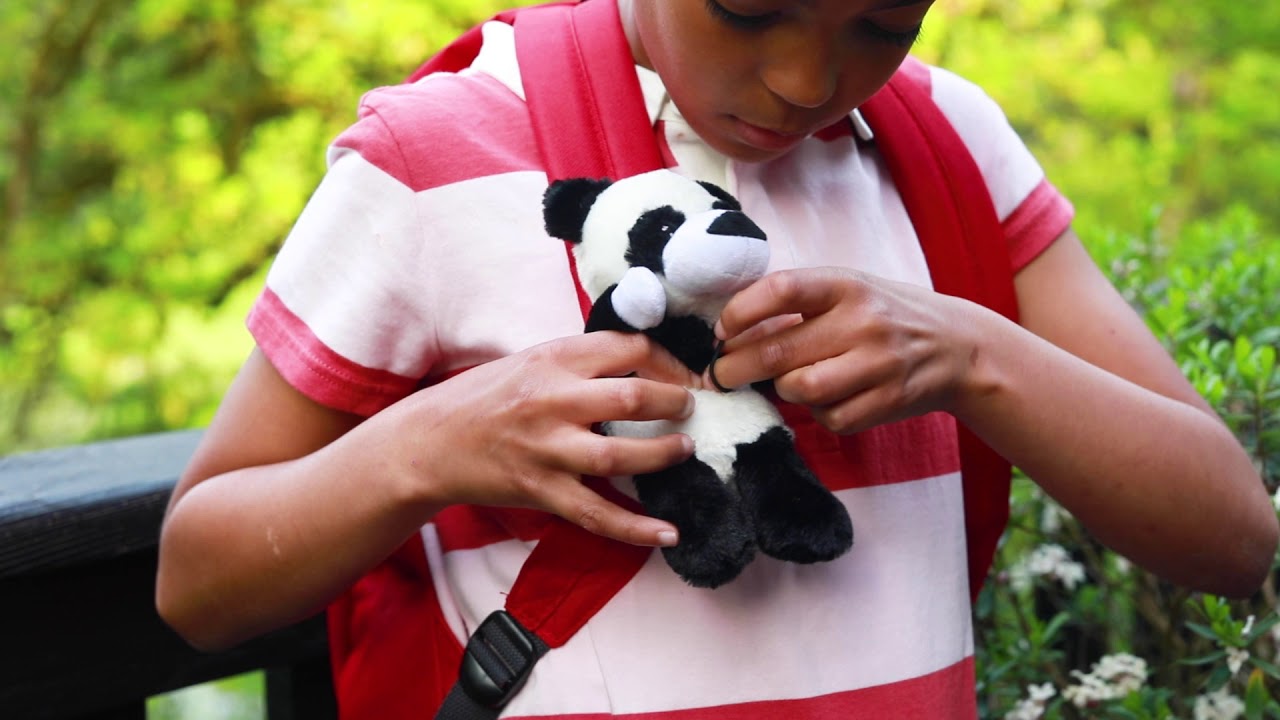 GOPALS attachment website