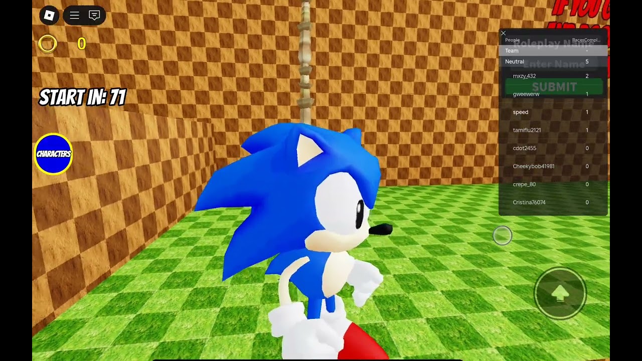 Playthrough of sonic the hedgehog rp