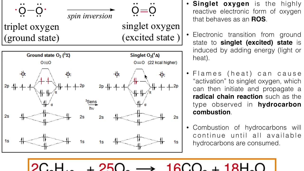 How can fuel combust into a GIANT FIRE? Hydrocarbon Combustion