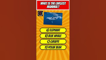 General Knowledge Science Quiz: Test Your Knowledge! #science #quiz #generalknowledge