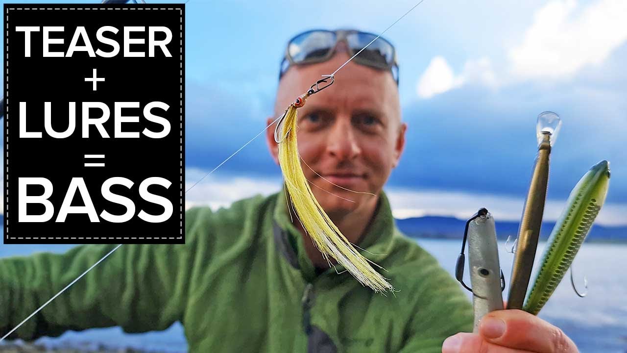 Deadly Teaser Rig with Lures for Bass – Why & How. Seabass Fishing ...