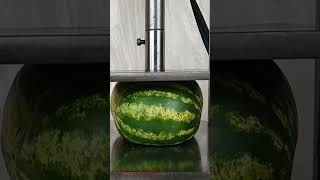 Hydraulic Press Vs Watermelon #Experiment #Shorts