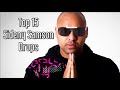 Top 15 Sidney Samson Drops mp3