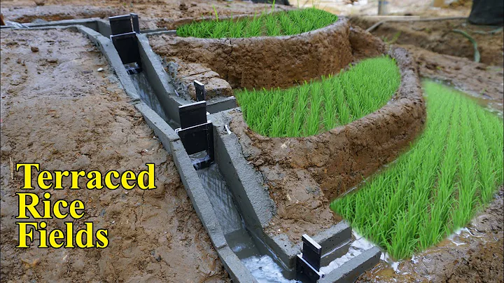 Construction of Terraced Fields and Irrigation Systems. Rice Cultivation In Mountainous Areas - DayDayNews