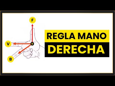 Video: Cómo Determinar La Dirección De Un Campo Magnético