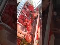 مرحبا بيكم عند اخوكم جلال او أختكم زينب Nicolivorno1 Viral Shorts Short Viralnl1 Youtube 