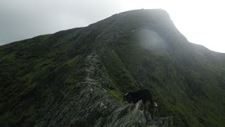 Sharp Edge, Blencathra, June 17th 2026