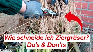 Wie Schneide Ich Ziergräser? Dos Donts - Wann Ist Der Ideale Zeitpunkt?