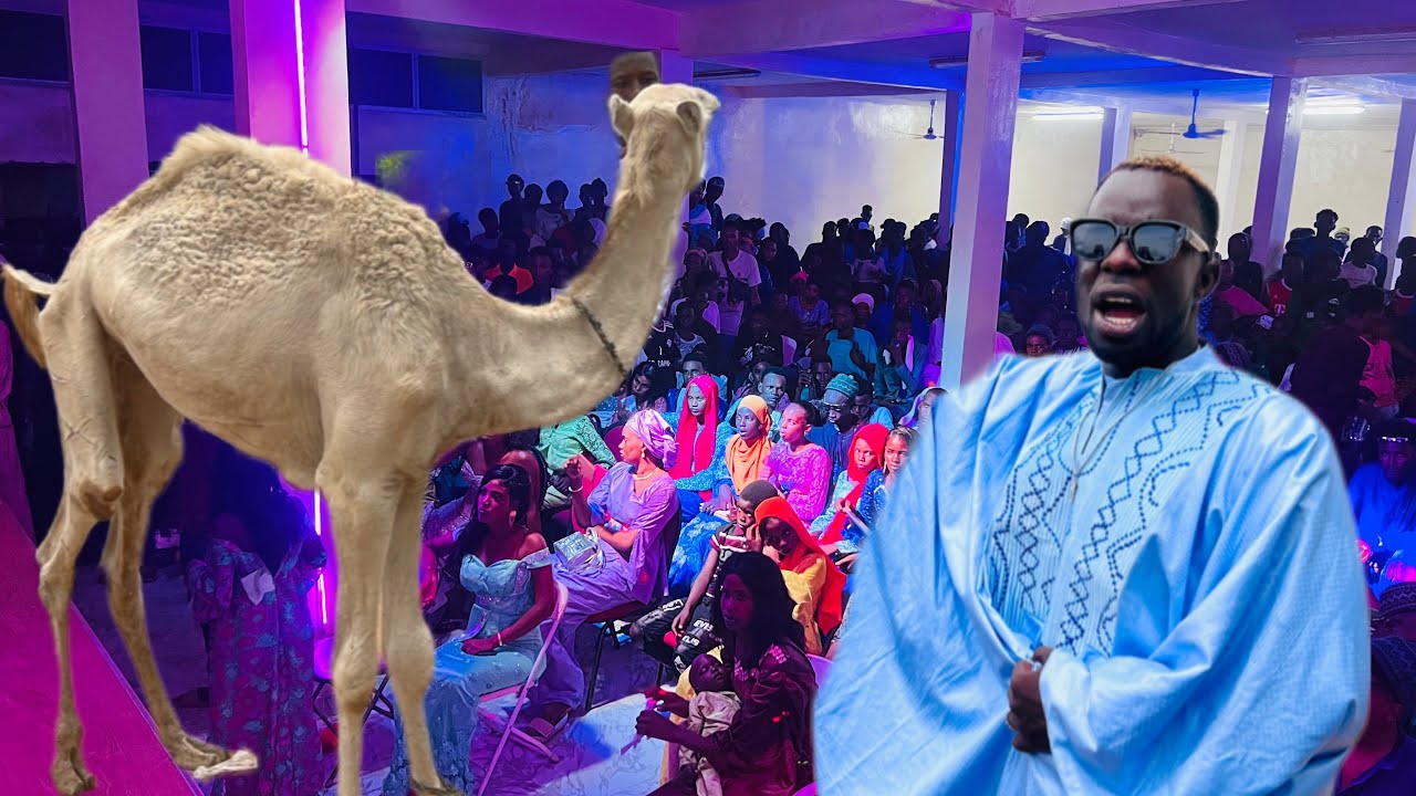 L’entrée incroyable de Foyre Leñol ngelooba e nder  Concert du 21 09/ 2025 à Dahra Djolof 