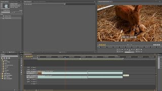 Adobe Premiere Pro CS5.5 - How to cut video - BASIC