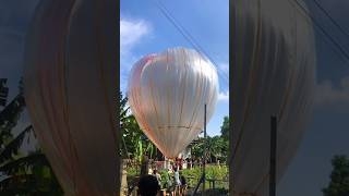 Balon Pekalongan 2024 #tradisi #syawalan #balonpekalongan #balonponorogo #balonwonosobo