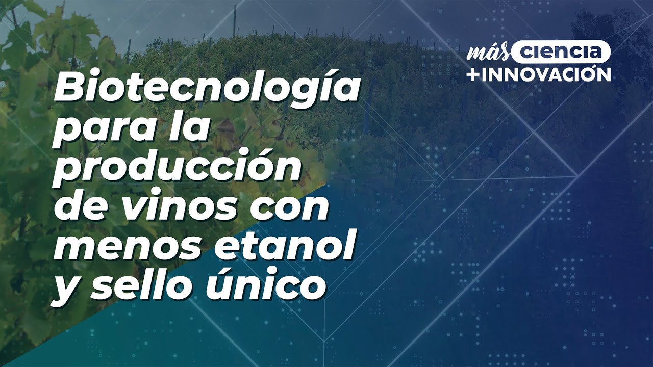Biotecnología para la producción de vinos con menos etanol y sello ...