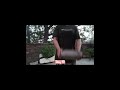 Do anything with me | #day19 #evening #minivlog #anything #efforts