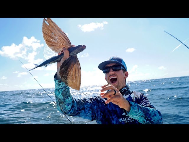 Catching Fish that can Fly!! - YouTube