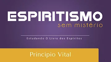 O que é o princípio vital o que ele possibilita?