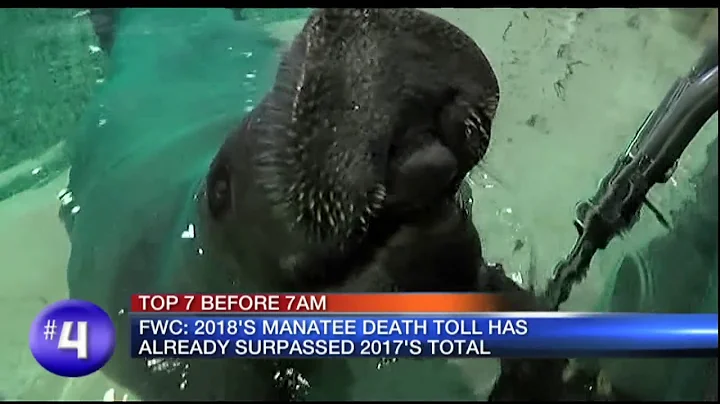 Video: Top 7 before 7am August 21, 2018