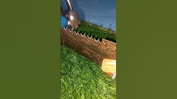 🪚From Dull to Dead Sharp: Sharpen Your Hand Saw Blade FAST – No Power Tools!"