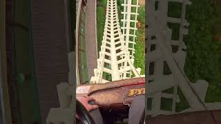 Famous 🐍 Python 🎢 #Efteling #RollerCoaster Vekoma #Shorts Wealth