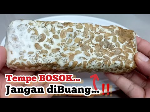 Resep Tempe Yang Sudah Busuk