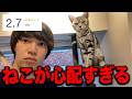 低評価の猫カフェに行ったら色々心配になってしまった.....