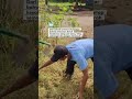 sukses itu butuh proses dari bawah kawan