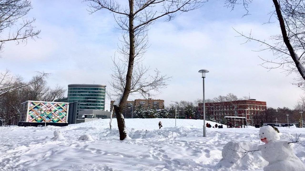Митинг против снегоплавильного пункта в парке «Академический»