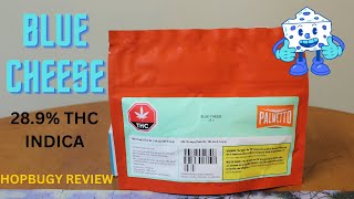 Blue Cheese Palmetto 28.9% THC Indica Cannabis Review