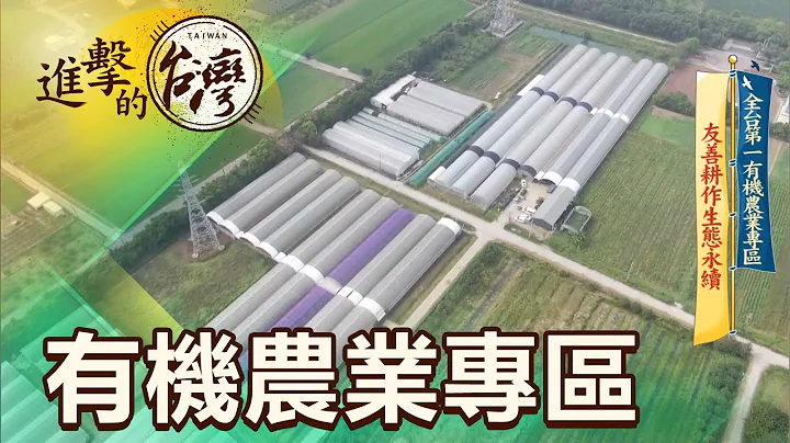 【進擊的台灣】全台第一有機農業專區 友善耕作生態永續 - 天天要聞