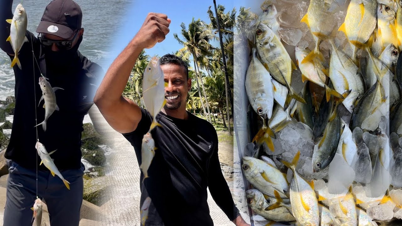 കുല പോലെ മീൻ കിട്ടിയ ദിവസം. ..Sabiki Fishing 