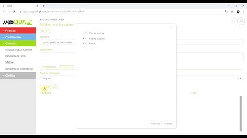 Video 14.2 webQDA - Palabras más frecuentes