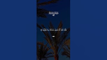 تلاوه خاشعه فارس عباد #قران #فارس_عباد  #quran #قران_كريم #تلاوة_خاشعة
